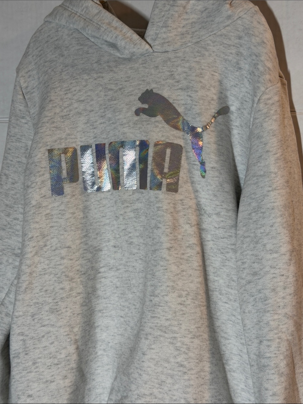 Puma Light Gray Hoodie with Holographic Logo pockets